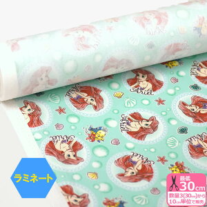 y_tf[̓|Cg10{z͂₷~l[gygE}[Chz^ƊLk 107cmЁynEzzGRL-1121-13(30cm)10cmP