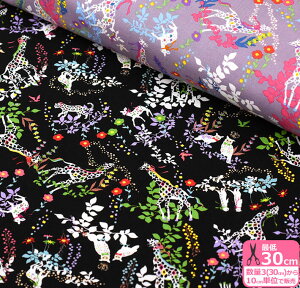 yC[OXӍՂ̓|Cg3{zzO`J flower driftiV[`OjԐ Ƒ@ׂȑKayo HoraguchiynEzziHKF-68j110cm/̐́u3v