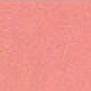 y_tf[̓|Cg10{zy1mPʁzJ[u[hniԁEEsNnj 100 ┖ 110cm { u[hn  w XbN obO̓z nynEzz