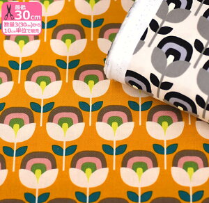 gtԁiRbgLoXjAԕRbg΂₵ ̕zynEzzKTS69193(30cm)10cmP