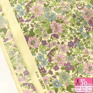 y}\̓|Cg3{zyoeBEt@ubNXzEmily/G~[i06-3636163 ZEj ԕy^i[EnEzz 3(30cm)10cmP 8724