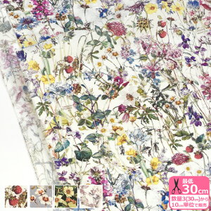 yoeBEt@ubNXzWild Flowers/ChEt[Yi14-3634251 AE CE DE WEjLiberty Fabrics y^i[EnEzz 3(30cm)10cmP