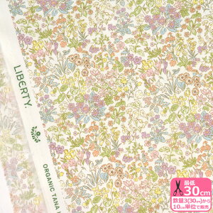 yoeBEt@ubNXzSpring Flowers/XvOEt[Yi157J904 BUjI[KjbN^i[ ԕynEzz 3(30cm)10cmP 2705 65126