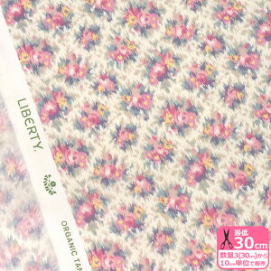 y}\̓|Cg3{zyoeBEt@ubNXzNutmeg/icOi157J907 BUjI[KjbN^i[ ԕynEzz 3(30cm)10cmP 2705 65126