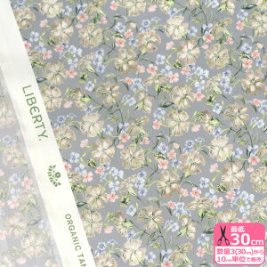 yoeBEt@ubNXzNorfolk Garden/m[tH[NEK[fi157J908 BUjI[KjbN^i[ ԕynEzz 3(30cm)10cmP 2705 65126