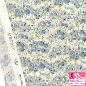 yoeBEt@ubNXzCarolyn/Li157J911 BUjI[KjbN^i[ ԕynEzz 3(30cm)10cmP 2705 65126