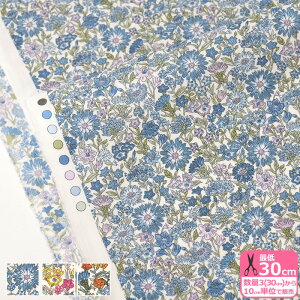 yoeBEt@ubNXzMay Fields/CEtB[Yi22-1222102 P22A P22B P22CjLiberty Fabrics y^i[EnEzz 3(30cm)10cmP 65126
