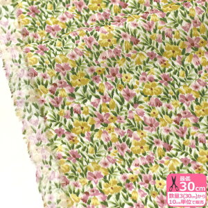 yoeBEt@ubNXzRhea/Ai23-1223202 P23Bj ԕy^i[EnEzz 3(30cm)10cmP 7830 65126