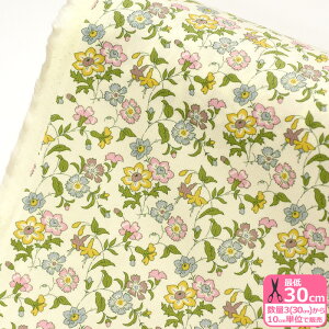 yoeBEt@ubNXzR[fCAisha/ACVi23-1223207L146 P23BjԕynEzz 3(30cm)10cmP 8928 65126 844860