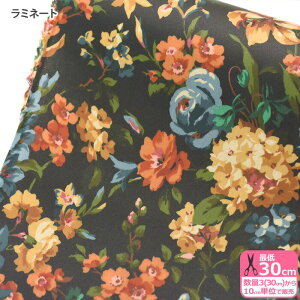 yoeBEt@ubNXz~l[gMontague Mews/^M[E~[Yi23-2343215-ZZD SD23Aj ԕynEzz 3(30cm)10cmP 7830 65126