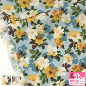 y}\̓|Cg3{zyoeBEt@ubNX zNysa/iC[Ti23-3633224 23BT P23Cj ԕy^i[EnEzz 3(30cm)10cmP 7830 65126