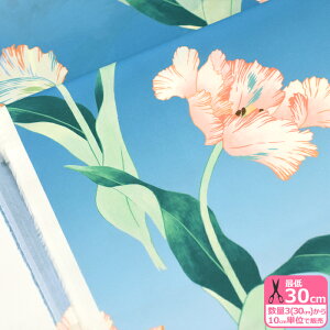 y}\̓|Cg3{zyoeBEt@ubNXzOhara Tulip/InE`[bvi24-3634105 24CUjԕy^i[EnEzz 3(30cm)10cmP 5621 65126