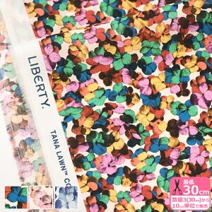 yoeBEt@ubNXzHilary Ann/q[EAi24-3634137 24AU 24BU 24CUjԕy^i[EnEzz 3(30cm)10cmP 5621 65126