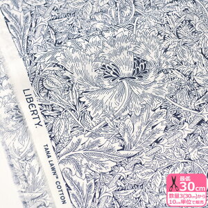 y}\̓|Cg3{zyoeBEt@ubNXzIndigo Morris/CfBSEXi24-3634139 24AUjԕy^i[EnEzz 3(30cm)10cmP 5621 65126