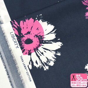 yoeBEt@ubNXzKlein Bloom/NCEu[i24-3634143 24AUjԕy^i[EnEzz 3(30cm)10cmP 5621 65126