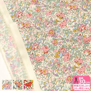 yoeBEt@ubNXzClaire-Aude/NAEI[hi3332022 DE SE WEjLiberty Fabrics y^i[EnEzz 3(30cm)10cmP