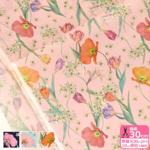 y}\̓|Cg2{zyoeBEt@ubNXzSpring Blooms/XvOEu[Xi3636421 A B CjLiberty Fabrics y^i[EnEzz 3(30cm)10cmP 65126