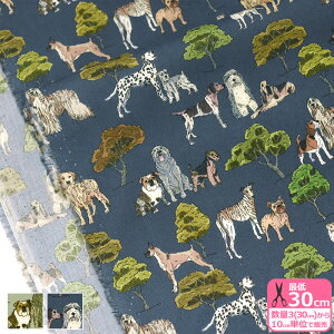 yoeBEt@ubNXzHyde Park Hounds/nChEp[NEnEYi363J7301 A Bjy^i[EnEzz 3(30cm)10cmP 3605 65126