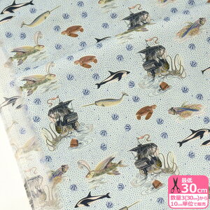 yX[p[Z[̓|Cg5{zyoeBEt@ubNXzAhoy/AzCi363J7305 Dj C }y^i[EnEzz 3(30cm)10cmP 3605 65126