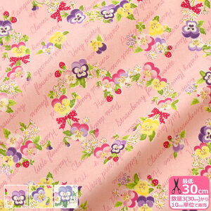 y}\̓|Cg2{zyYUWAzViola WreathiV[eBOjR֎q \tg`cH ԕ pW[ rI L֏XynEzzAT829762 3(30cm)10cmP 5478