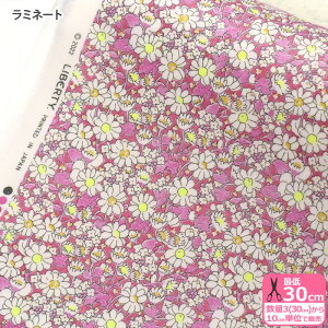 y_tf[̓|Cg10{zyoeBvgz~l[gAlice Neon/AXElIiDC32677-ZZD J23BjLIBERTY 2023SS Neon Liberty rjR rj[R[eBOynEzz 3(30cm)10cm