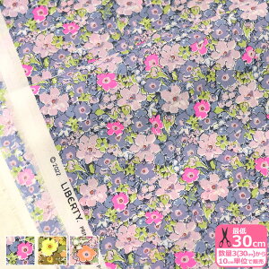 y_tf[̓|Cg10{zyoeBvgzArchie Neon/A[`[ElIiDC32680 J23A J23B J23DjLIBERTY 2023SS Neon Libertyy^i[EnEzz 3(30cm)10cmP 7108 65126