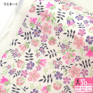 yC[OXӍՂ̓|Cg3{zyoeBvgz~l[gEdenham Neon/GfBiElIiDC32681-ZZD J23EjLIBERTY 2023SS Neon Liberty rjR rj[R[eBOynEzz 3(30cm)