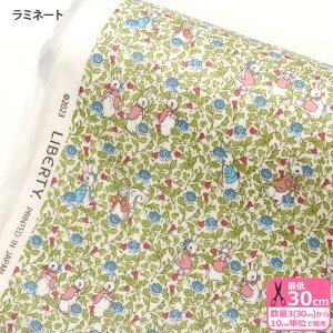 ys[^[rbg(TM)×oeBEt@ubNX z~l[gRose&Thistle Peter/[YEAhEVXEs[^[iDC32967-ZZD J23EjrjR rj[R[eBOynEzz 3(30cm)1