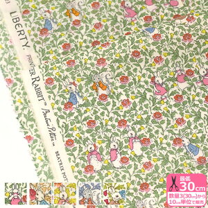 ys[^[rbg(TM)×oeBEt@ubNX zRose&Thistle Peter/[YEAhEVXEs[^[iDC32967J23A J23B J23C J23D J23Ejy^i[EnEzz 3(30cm)10cmP 5648