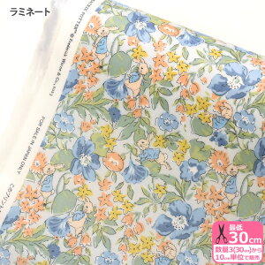 ys[^[rbg(TM)×oeBEt@ubNX z~l[gPoppy&Honesty Peter/|s[EAhEIlXeBEs[^[iDC32968-ZZD J23AjrjR rj[R[eBOynEzz 3(30cm)