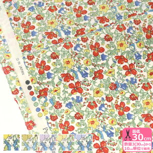 ys[^[rbg(TM)×oeBEt@ubNX zPeter Meadow/s[^[EhDiDC32969 J23A J23B J23C J23D J23Ejy^i[EnEzz 3(30cm)10cmP 5648