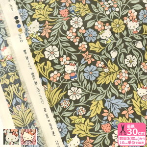 yoeBEt@ubNXzOrchard Friends/I[`[hEtYDC33494 Hello Kitty 50th Anniversaryy^i[EnEzz 3(30cm)10cmP 0814