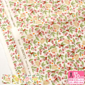 yoeBEt@ubNXzCherries and Bows/`F[YEAhE{EYDC33495y^i[EnEzz 3(30cm)10cmP 0814