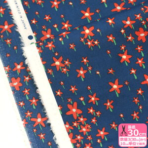 yoeBEt@ubNXzBright Night/uCgEiCgiDC33536-TDD J23Ajԕ p[痿vgy^i[EnEzz 3(30cm)10cmP 3984 65126