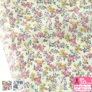 yoeBEt@ubNXzGarland Stripe/K[hEXgCviDC33549 XE YEjLiberty Fabrics y^i[EnEzz 3(30cm)10cmP 9761