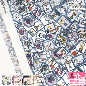 yoeBEt@ubNXzStamp Collection/X^vERNVDC33935 Xk[s[y^i[EnEzz 3(30cm)10cmP 8440