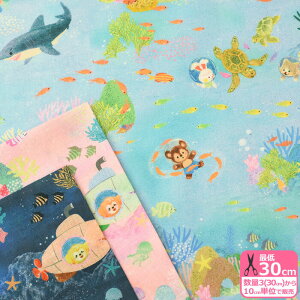 y22fabricz}Q[i60[re[WtB[jC̒ŗVԓynEzzDP-4420-4 3(30cm)10cmP 8803