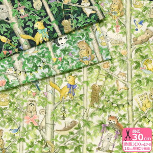 yX[p[Z[̓|Cg5{zy22fabricz[p[NiRbg[jXgCvɐLт؂ƓynEzzDP-4430-3 3(30cm)10cmP 6636