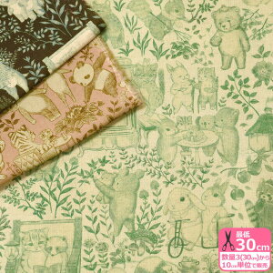 y}\̓|Cg3{zy22fabricz~xxiRbglV[`OjlR₤A 4th collectionynEzzDP-4855-1 3(30cm)10cmP 6636