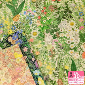 yC[OXӍՂ̓|Cg3{zy22fabricz{^jJt[iRbglV[`OjԂƓ ȖV[`OynEzzDP-4855-2 3(30cm)10cmP 8803