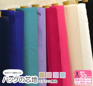 y}\̓|Cg3{zobO̐cn ~fBAn ڒc n n^Cv cn J[ n ݃J[ IbNX w KS-200 3(30cm)10cmP 6788