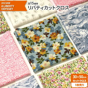 yubNtCf[̓|Cg5{zyoeBEt@ubNXzJbgNX2023AW A LIBERTY ODYSSEY 15ށi30×50cmj^i[ynEzz7830 65126