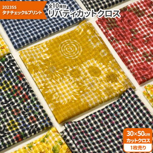 yubNtCf[̓|Cg5{zyoeBEt@ubNXzJbgNX2023SS ^i`FbNvg 10ށi30×50cmj^i[߃`FbNynEzz2481 65126