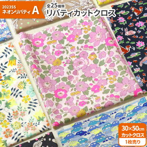 yubNtCf[̓|Cg5{zyoeBvgzJbgNX2023SS lIoeBA 25ށi30×50cmj^i[ynEzz7108 65126