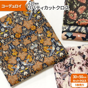 yC[OXӍՂ̓|Cg3{zyoeBEt@ubNXzJbgNXR[fC20ށi30×50cmjR[V VcR[ynEzz7327 65126 844860