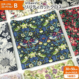 yubNtCf[̓|Cg5{zyoeBEt@ubNXzJbgNXG^[iRNVB16ށi30×50cmj^i[ynEzz6135