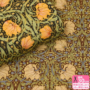 Moda BEST OF MORRIS sp[l PIMPERNELi10ԃIbNXjxXgIuXV[Y 8365ynEzz3(30cm)10cmP