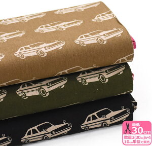 y}\̓|Cg2{zni-co echino ȖLoX car N} EKX-98060-60ynEzz3(30cm)10cmP