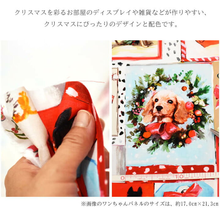 楽天市場】【メゾン・ド・ファブリック ノエル】DOG ドッグ 