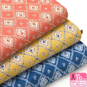 {^jJ_}XNi60[j AynEzzSC10506S3(30cm)10cmP 4663 374314